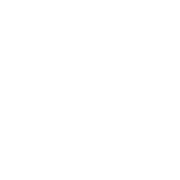 Strategic Focus and Goal Achievement