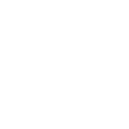 Department Structure and Organizational Design